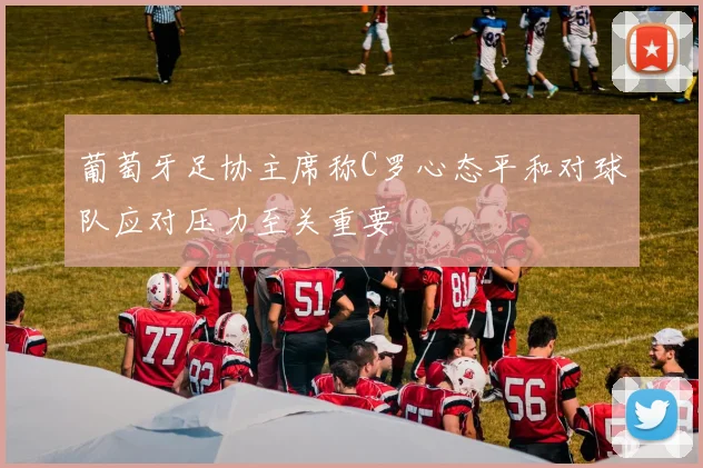 葡萄牙足协主席称C罗心态平和对球队应对压力至关重要
